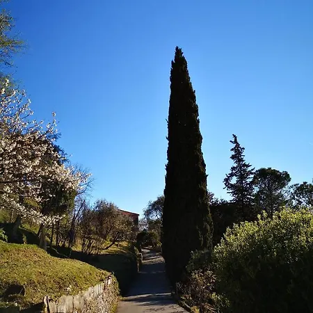 La Vivagna - Casa Vista Mare Tra Gli Ulivi *