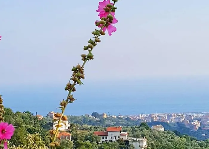 Prázdninový dům La Vivagna - Casa Vista Mare Tra Gli Ulivi *