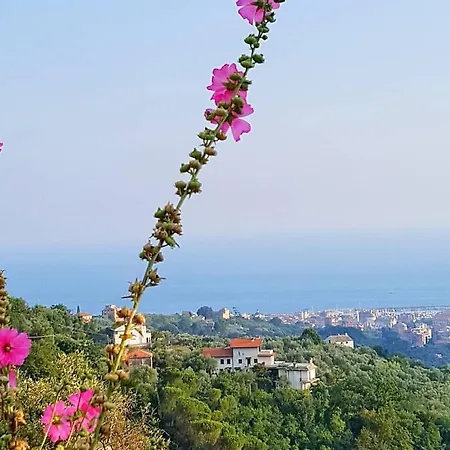 Hébergement de vacances La Vivagna - Casa Vista Mare Tra Gli Ulivi *
