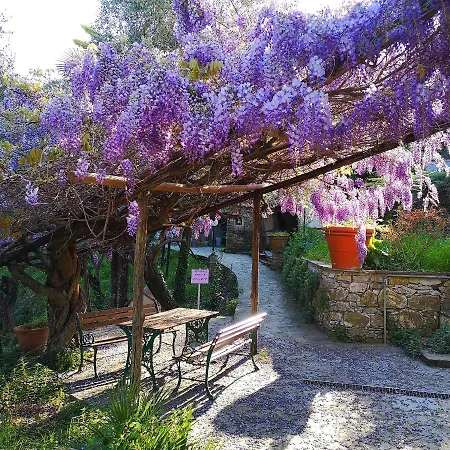 La Vivagna - Casa Vista Mare Tra Gli Ulivi