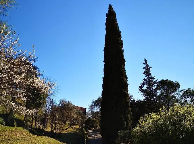La Vivagna - Casa Vista Mare Tra Gli Ulivi *
