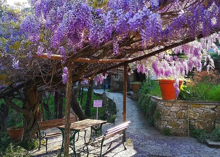 La Vivagna - Casa Vista Mare Tra Gli Ulivi